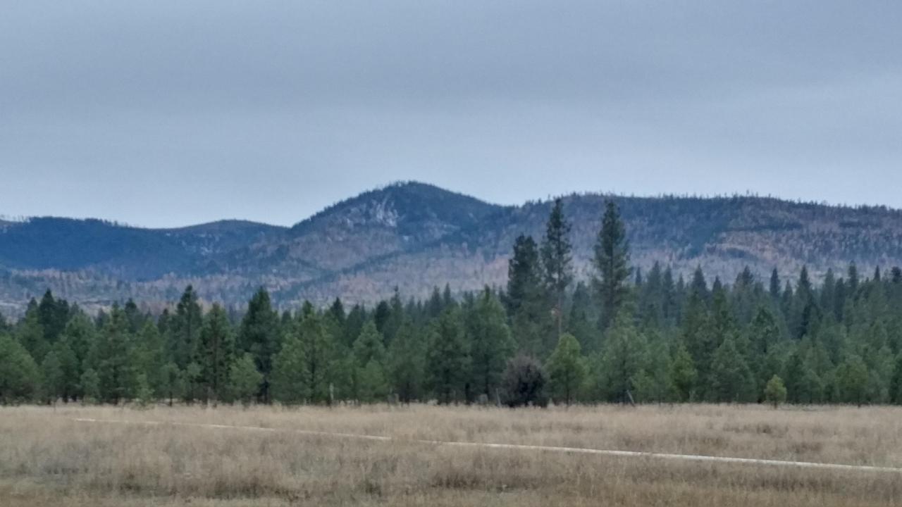 Nhn Blixit Creek Road - Photo 1