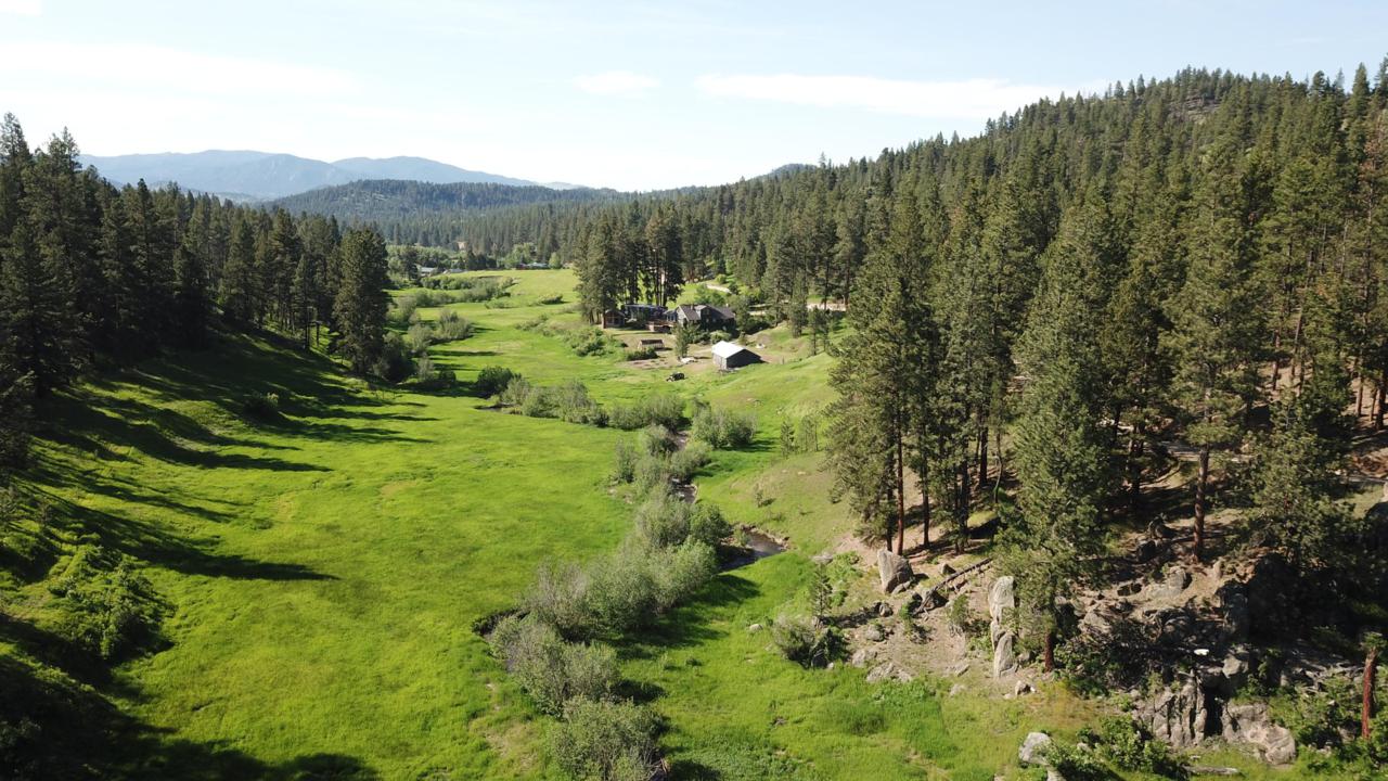 226 Warm Springs Creek Road - Photo 1