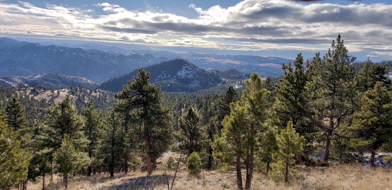 Sugarloaf Mountain Lane - Photo 1