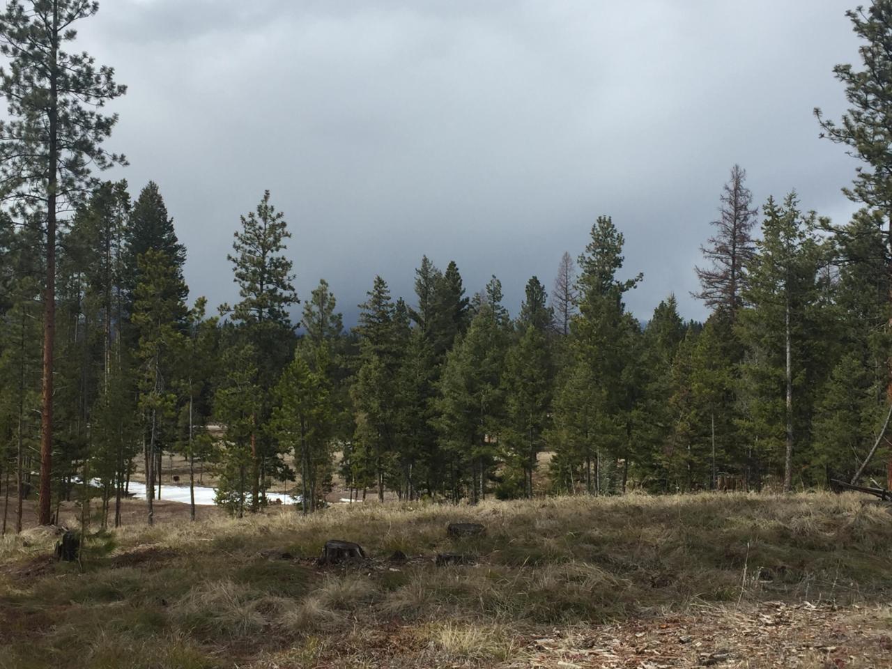 336 Drew Creek Loop - Photo 1