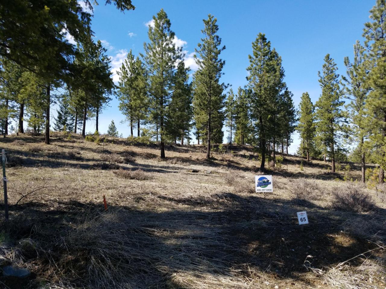 Lot 65 Salmon Drive - Photo 1
