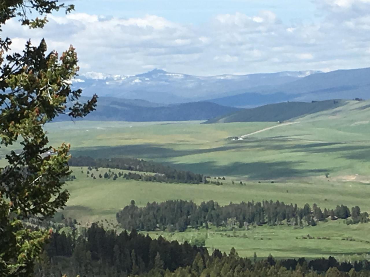 Lot 39 Trapper Ridge - Photo 1