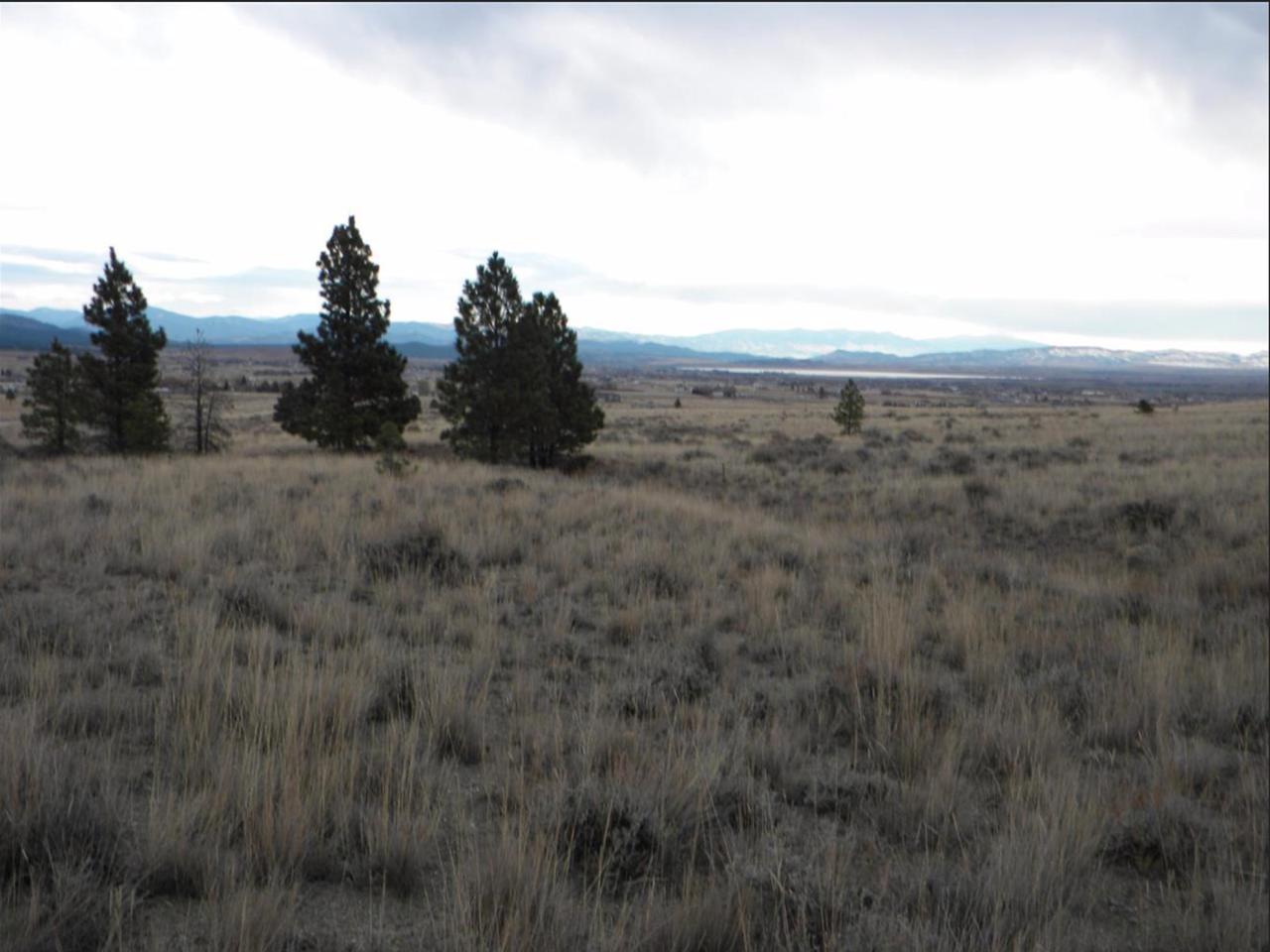 Tbd Buffalo Horn - Photo 1