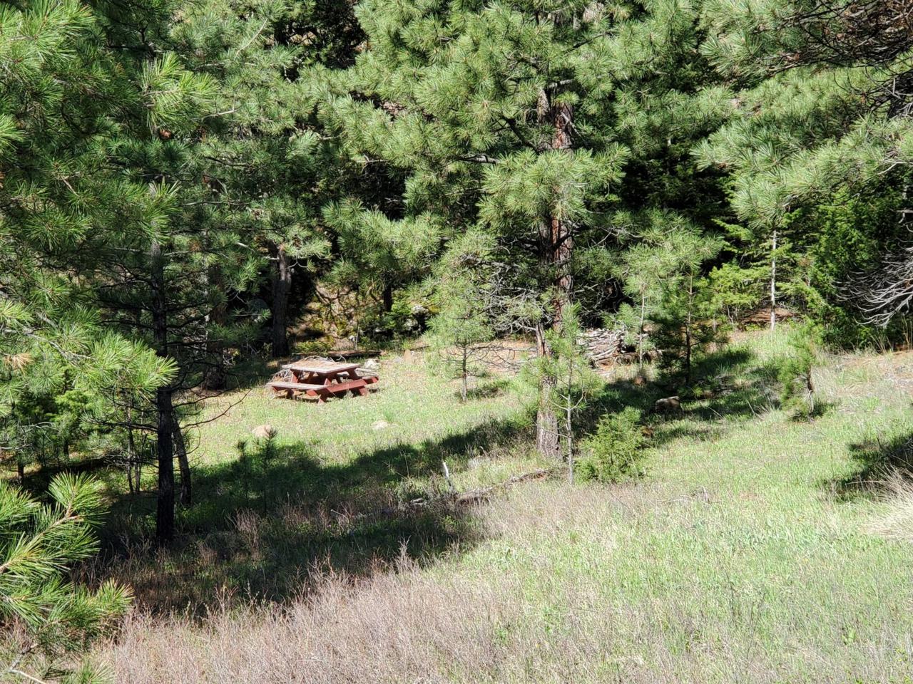 Nhn Upper Andy Creek Lane - Photo 1