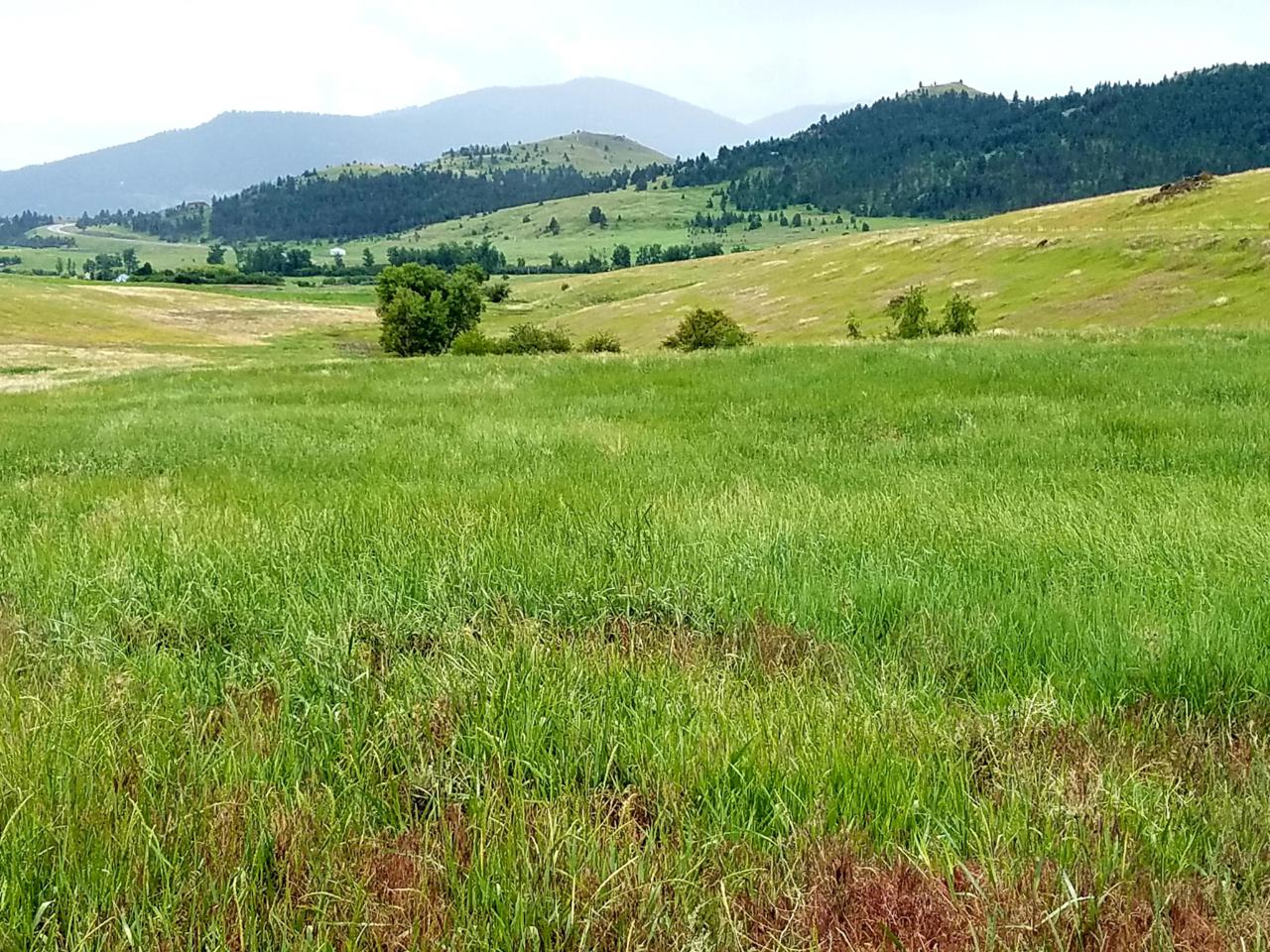 Nhn Lake Mary Ronan Road - Photo 1