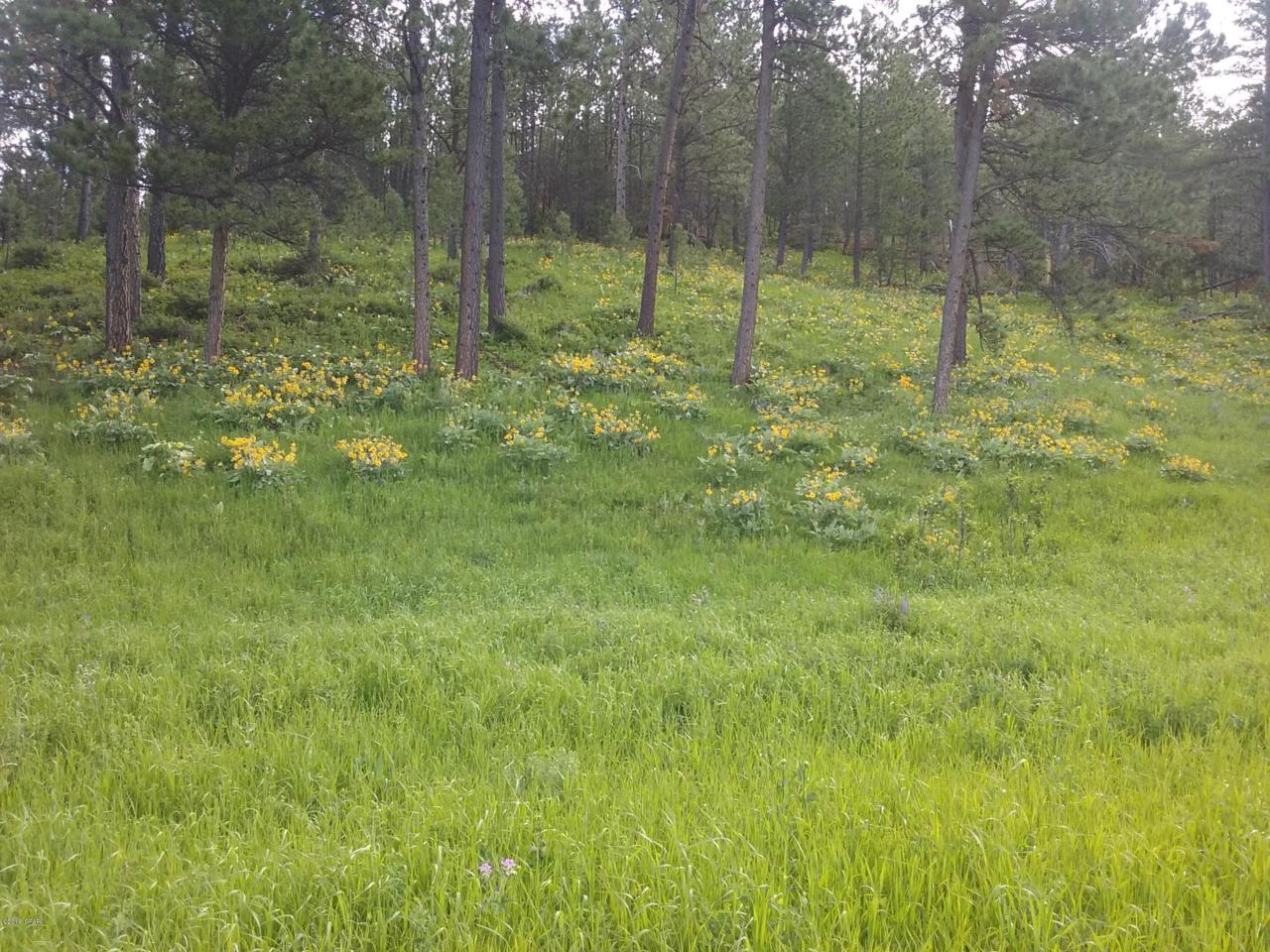 329 Wapiti Ridge Trail - Photo 1