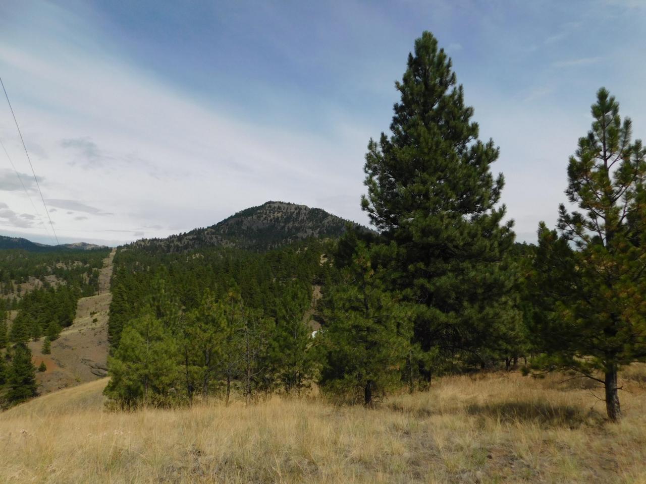 79 Gunsight Lane - Photo 1
