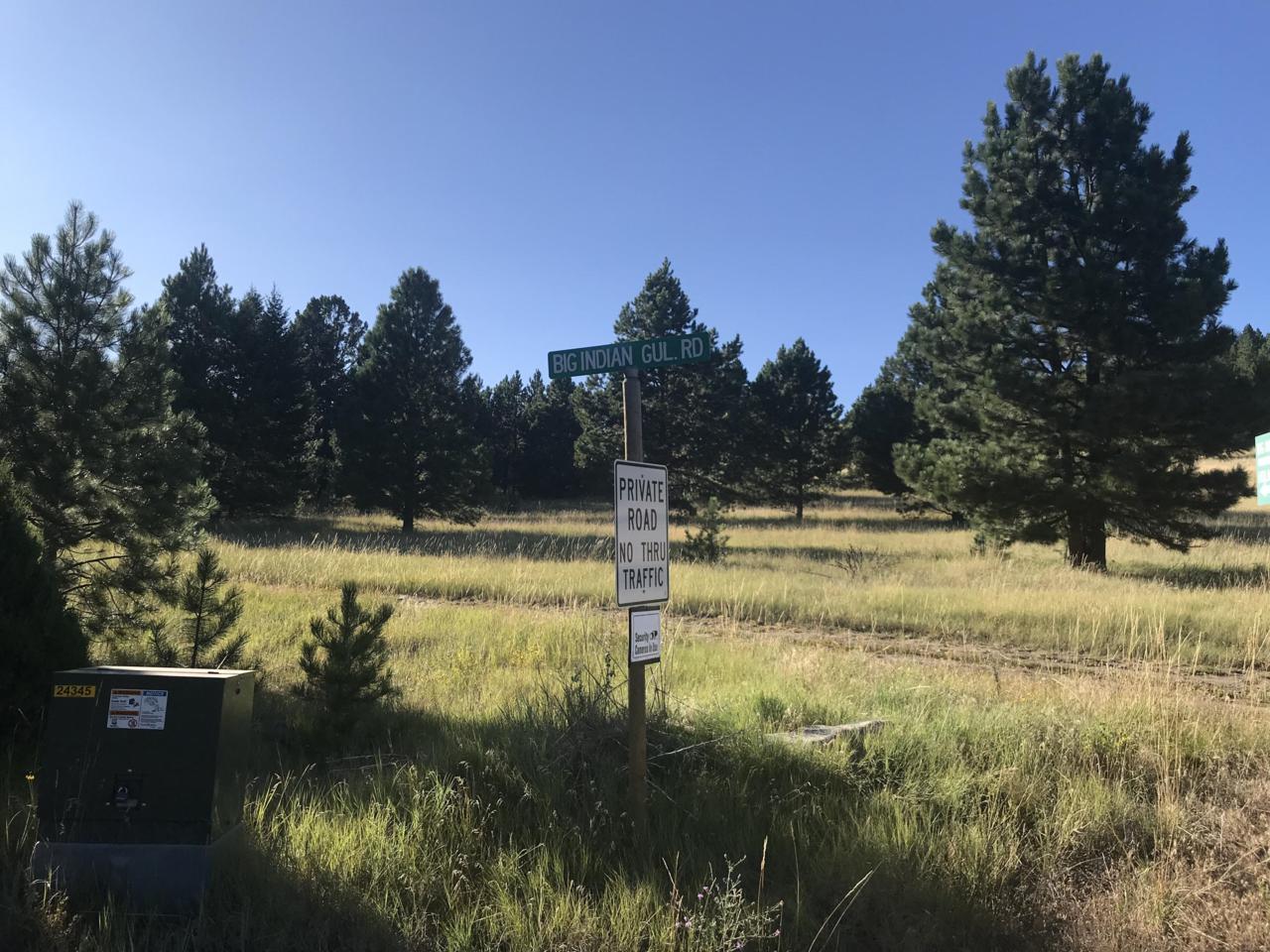 Tbd Big Horn Gulch Road - Photo 1
