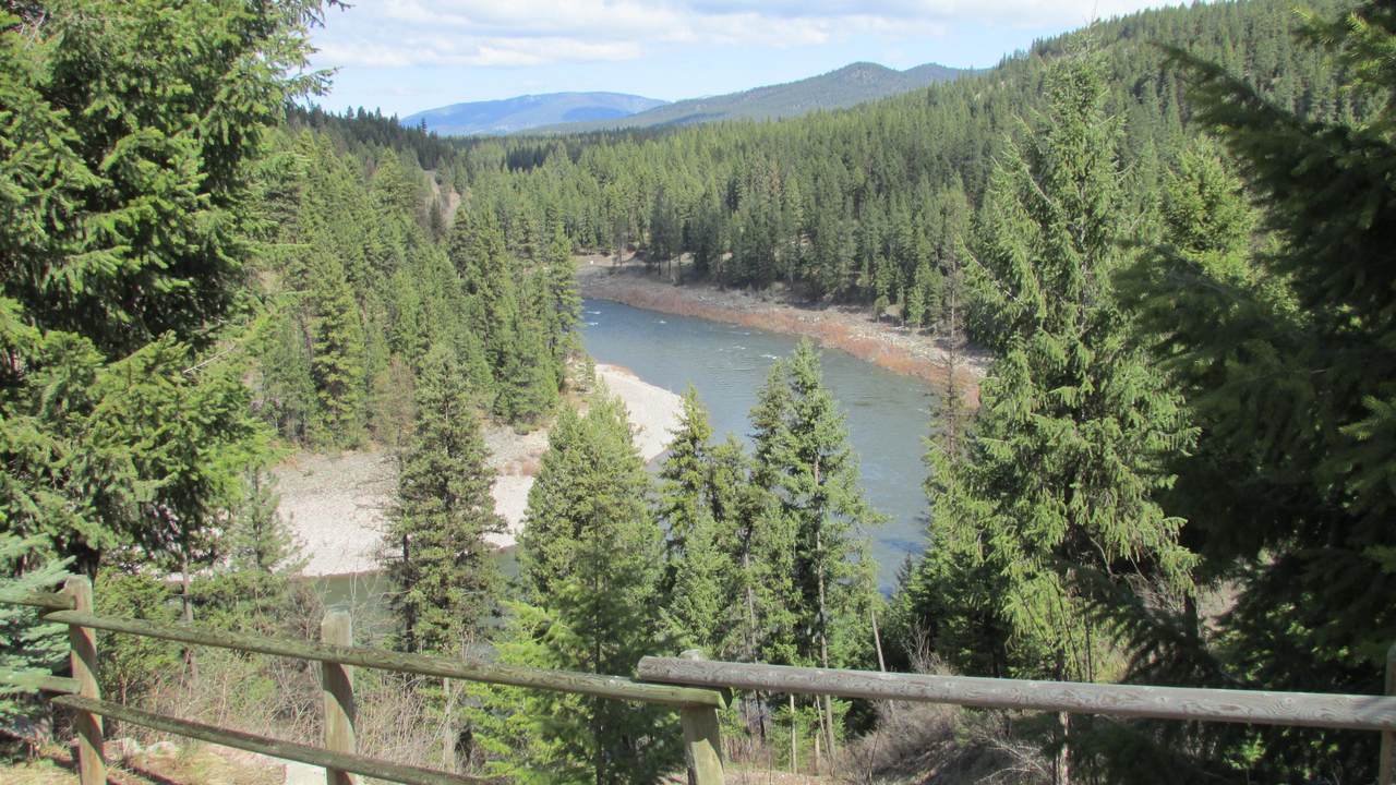 822 River Gorge Road - Photo 1