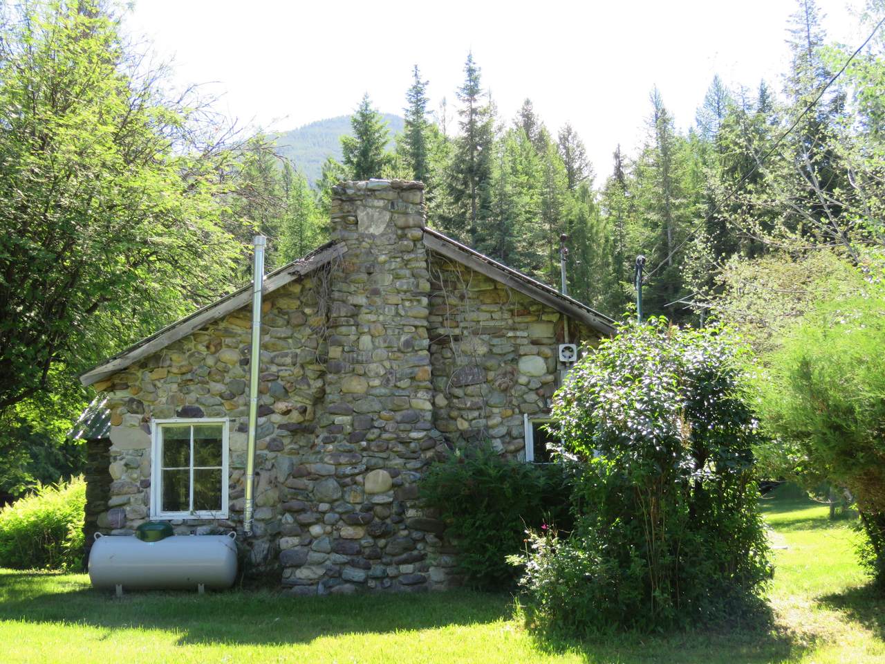 12345 Bull Lake Road - Photo 1