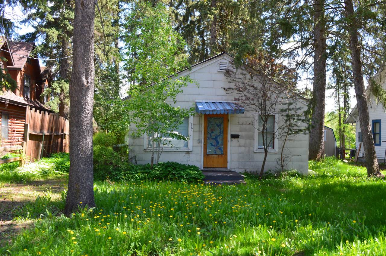 817 Park Avenue - Photo 1