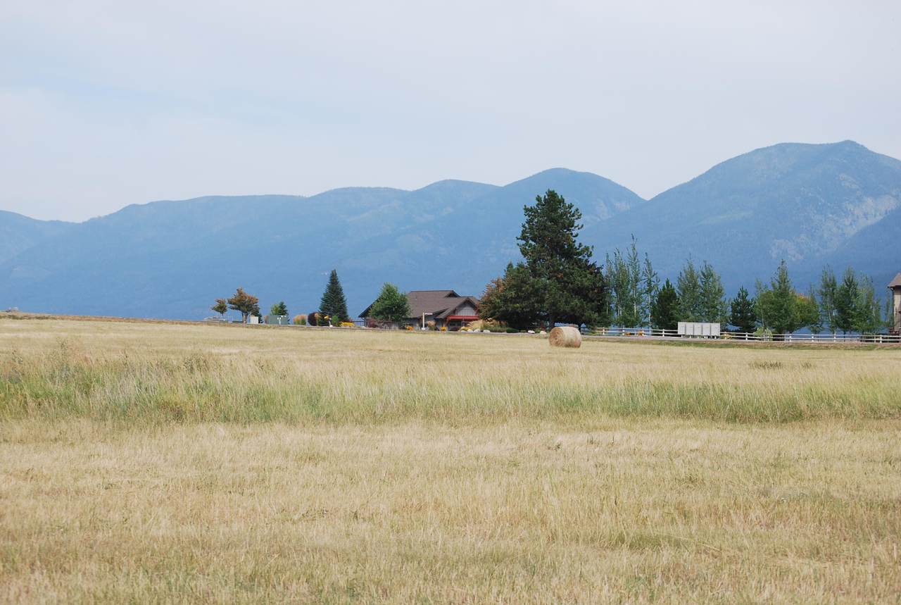 Nhn Hawk Drive - Photo 1