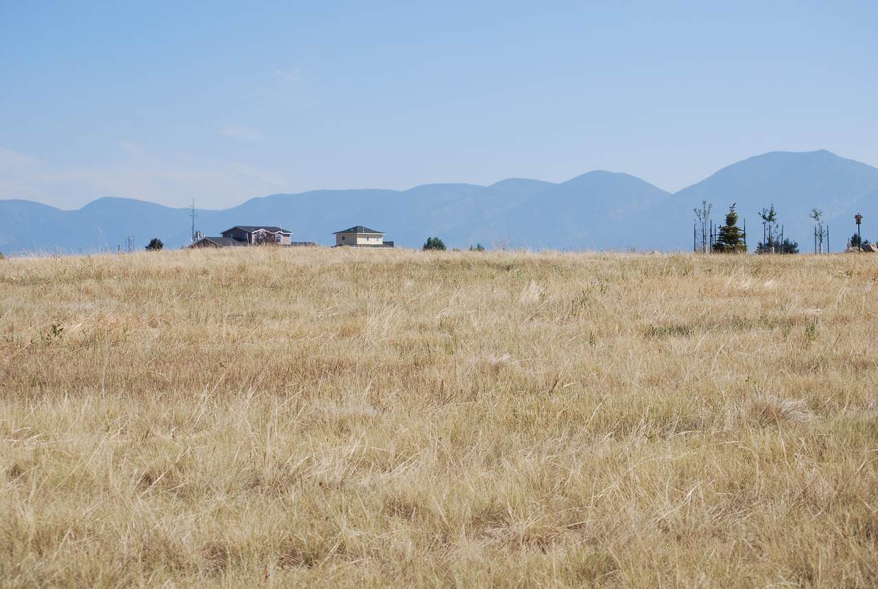 Nhn Skyview Lane - Photo 1
