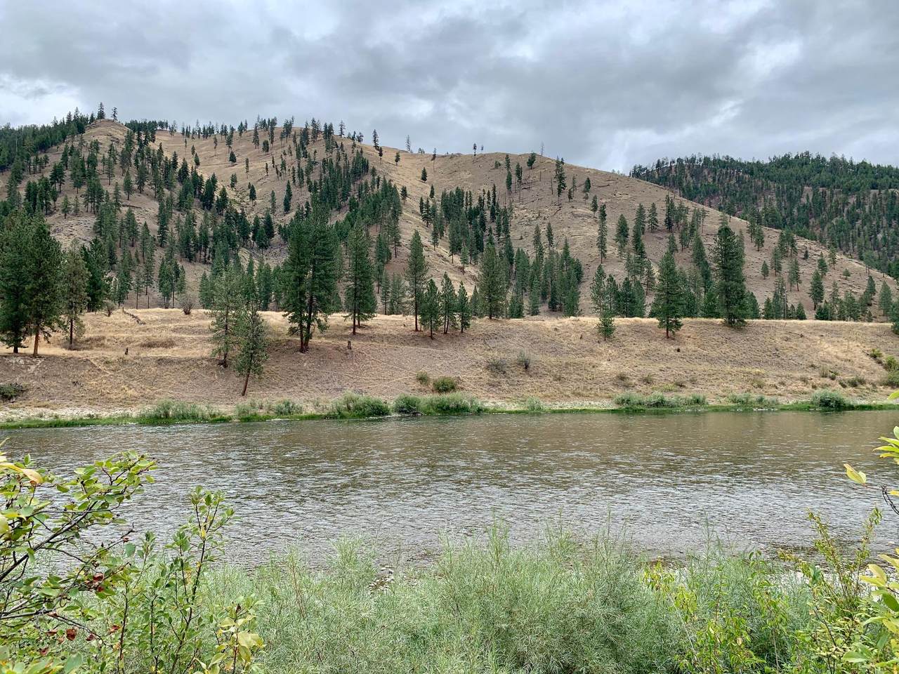 Lot 9 Clark Fork Drive - Photo 1