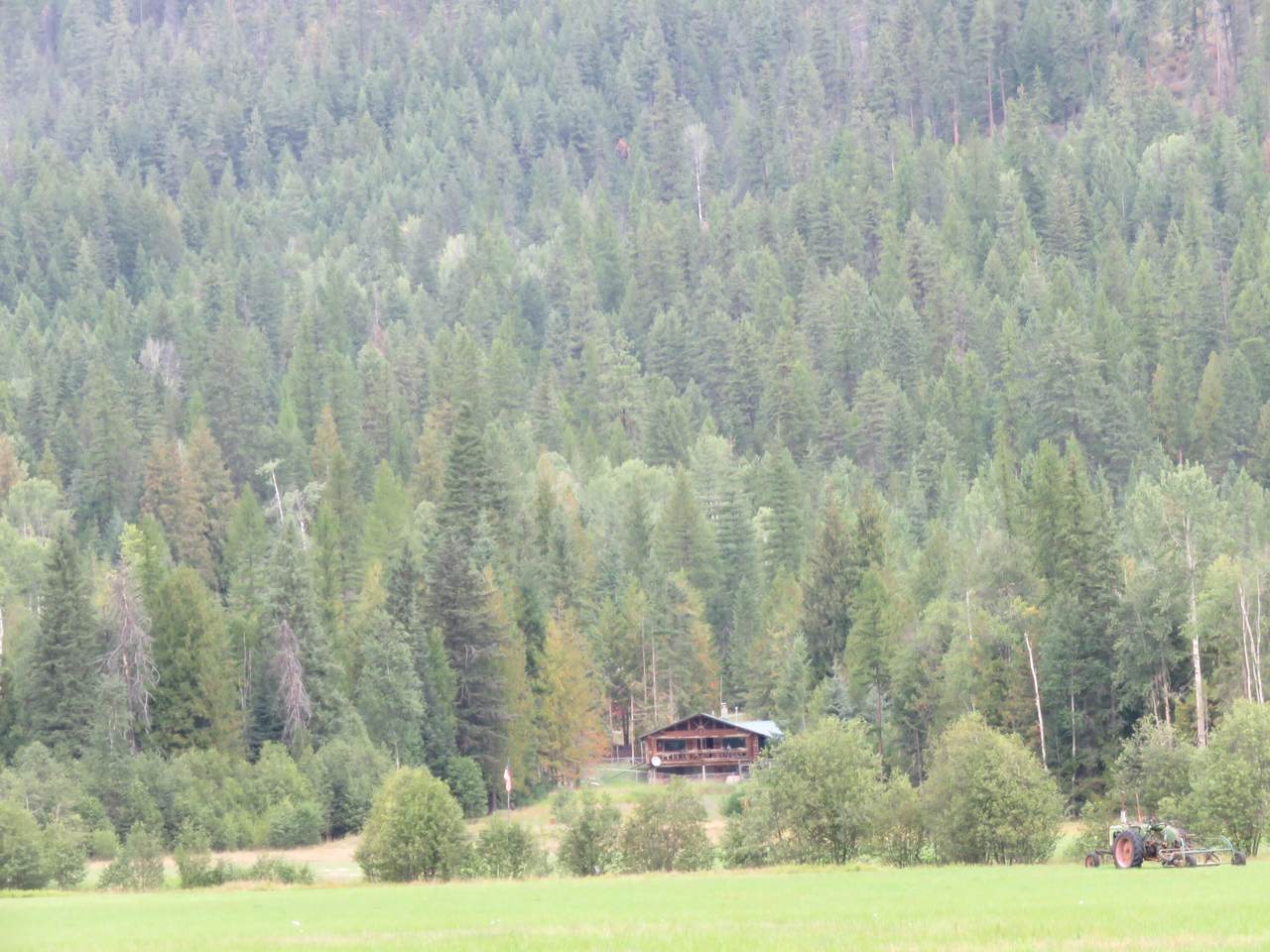 394 White Drive - Photo 1