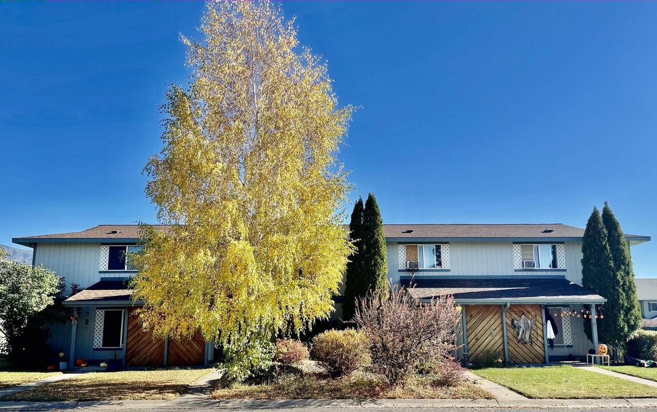 14 Martha Road - Photo 1