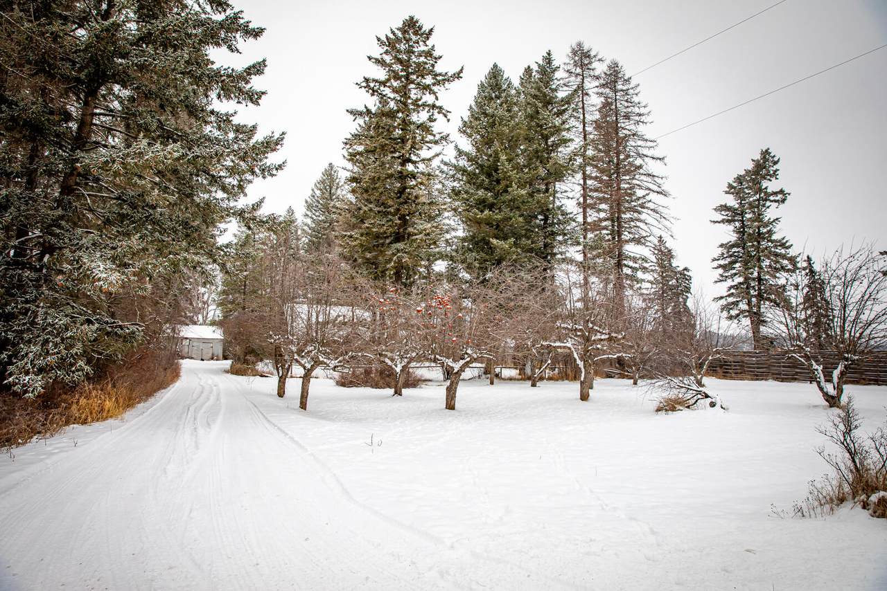 1602 Trumble Creek Road - Photo 1