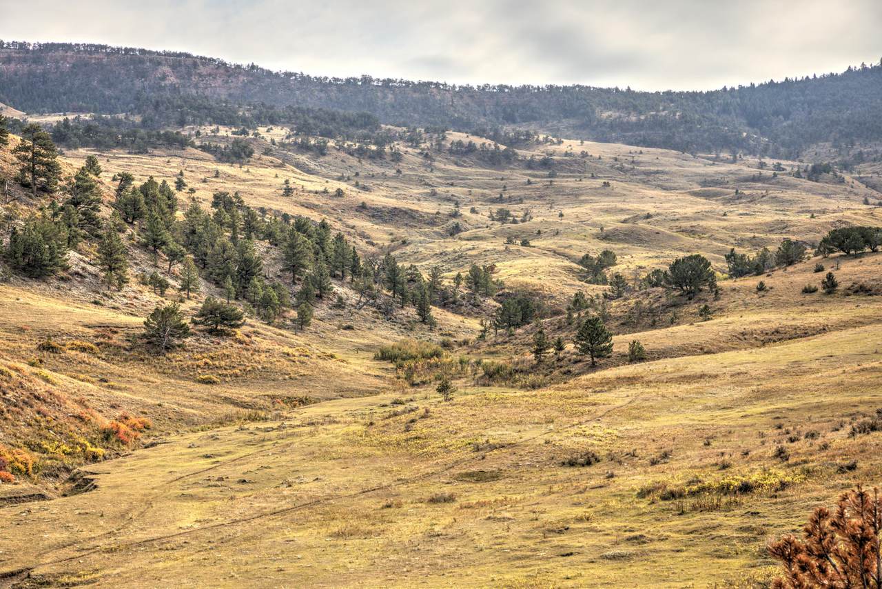 Nhn South Fork Road - Photo 1