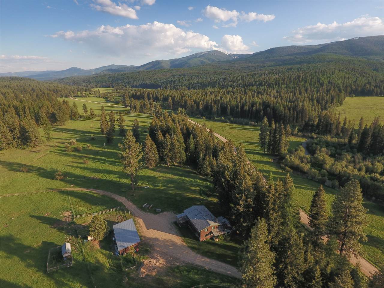 31200 Ninemile Road - Photo 1
