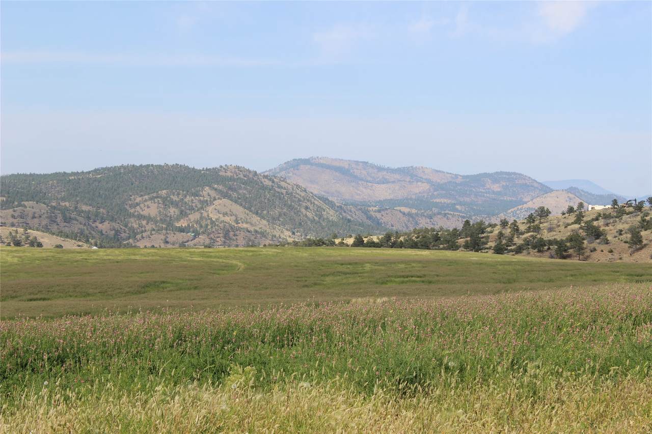 NHN Danas Point Drive - Photo 1