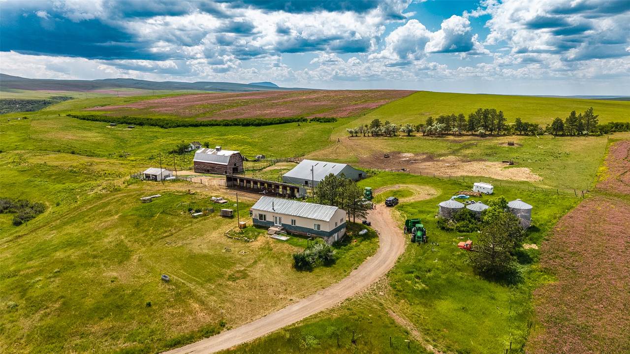 981 Cora Creek Road - Photo 1