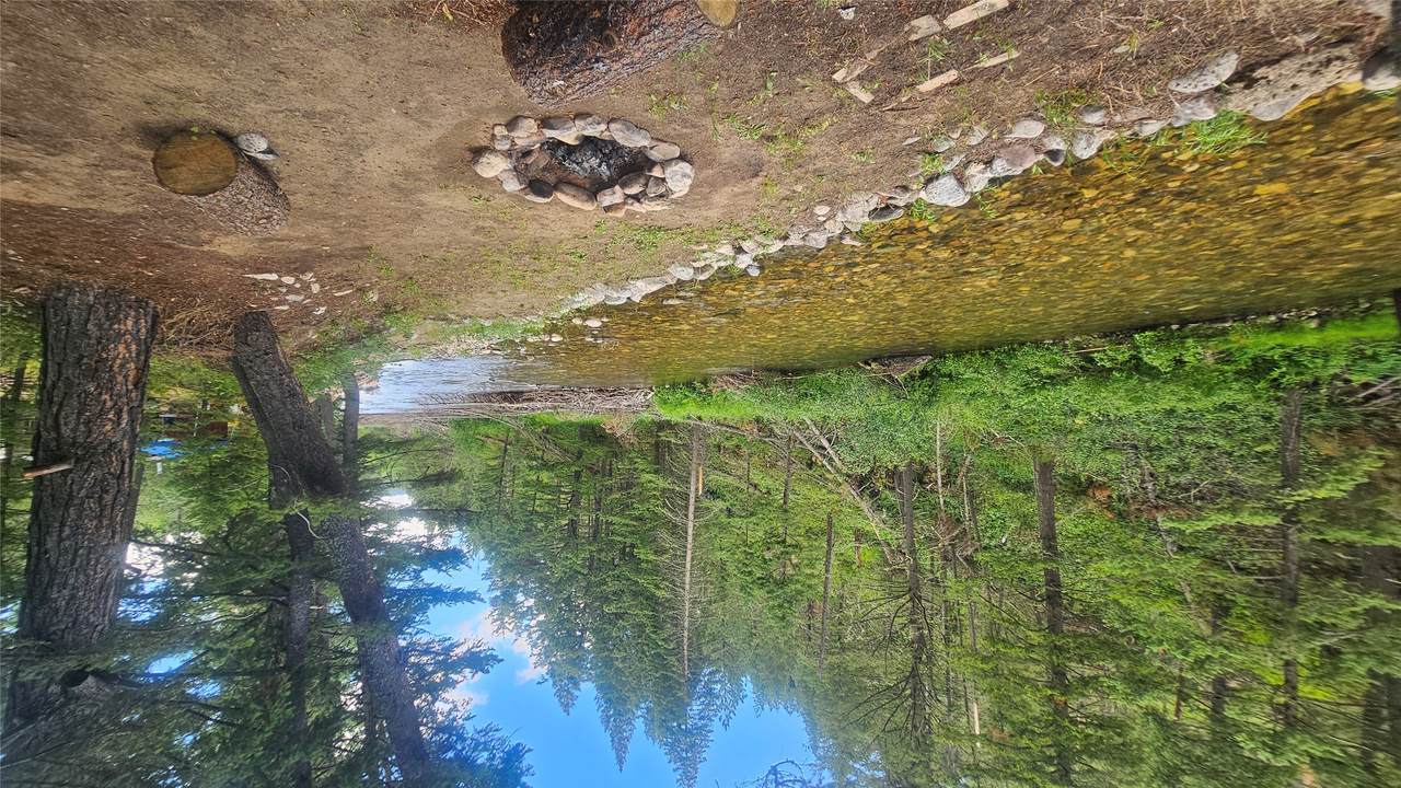 4928 Strains Lane - Photo 1