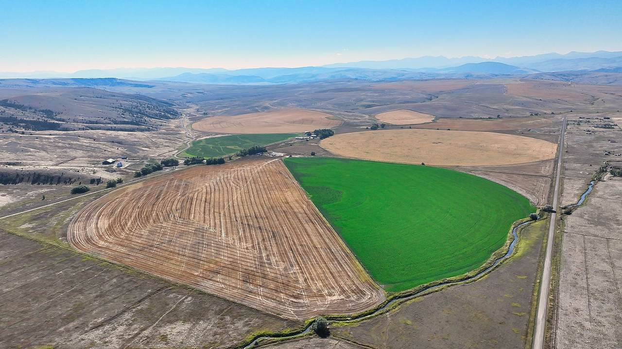 14917 Buffalo Jump Road - Photo 1