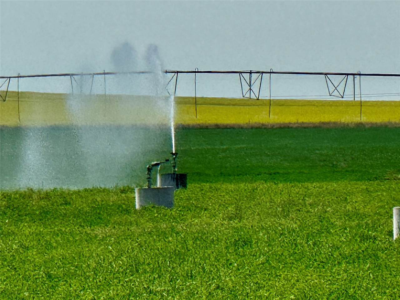 NHN 12th Lane - Photo 1