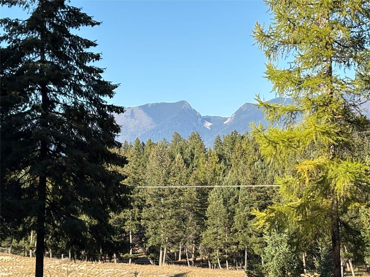 NHN (Lot 1B) Badger Trail - Photo 1