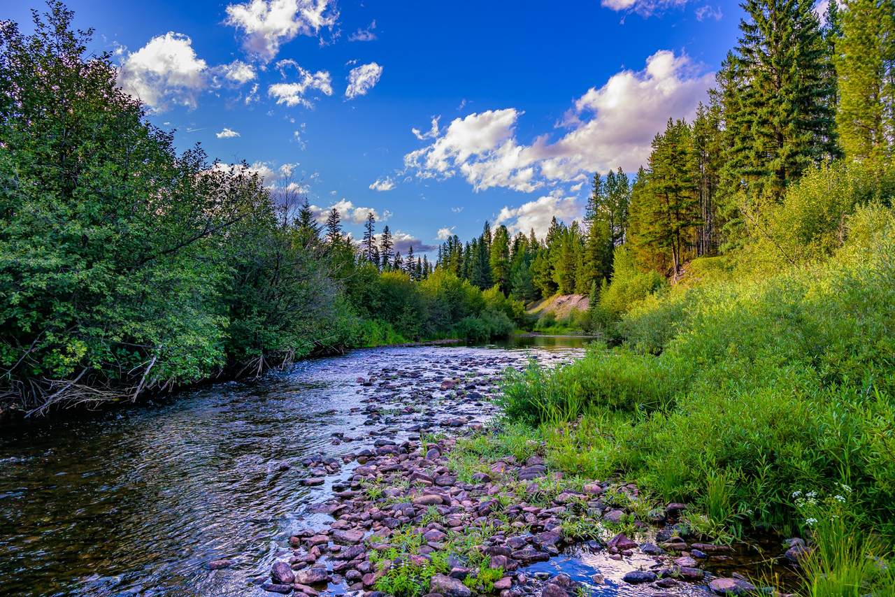 002 Route 83 - Photo 1