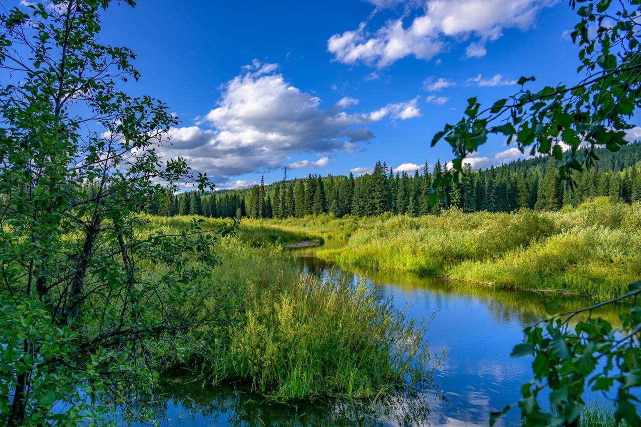 https://bt-photos.global.ssl.fastly.net/nmar/1280_boomver_1_30065788-2.jpg