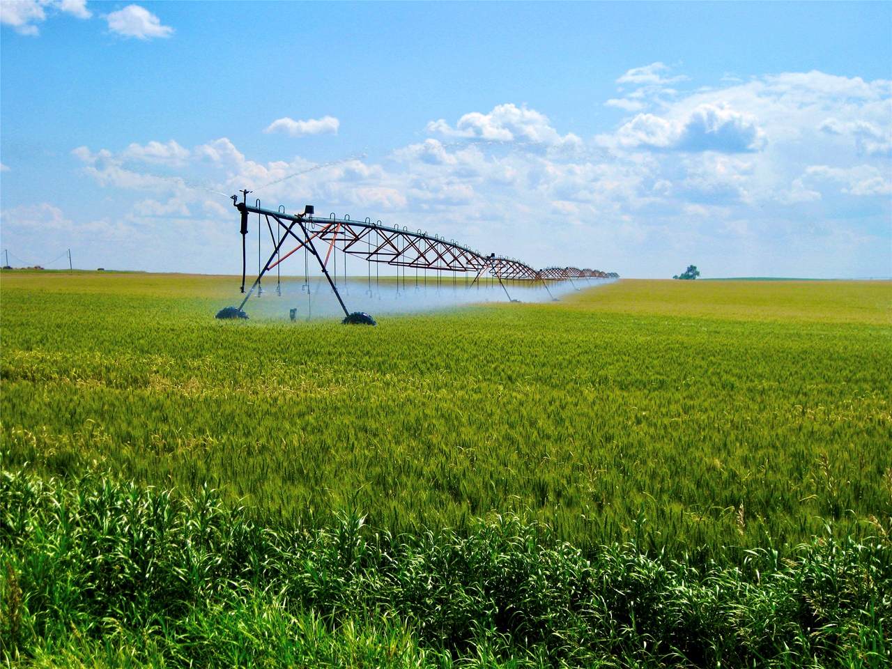 0 Buena Vista Road - Photo 1