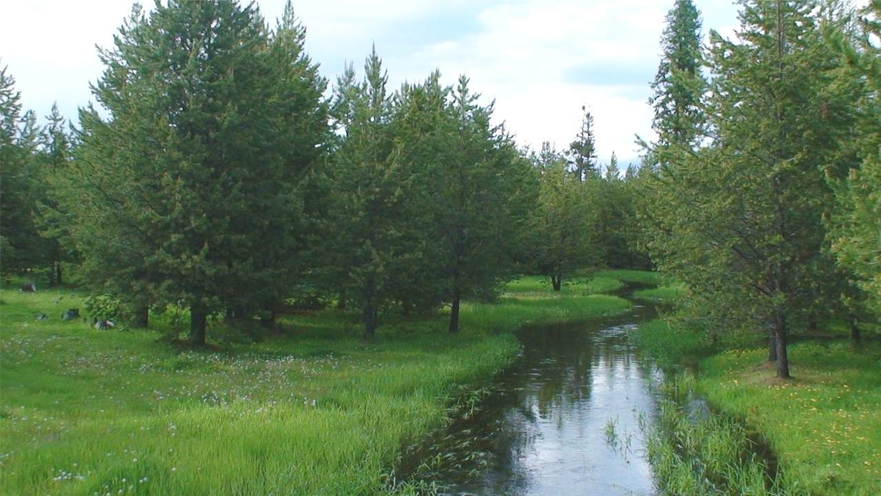 360 Discovery Loop - Photo 1