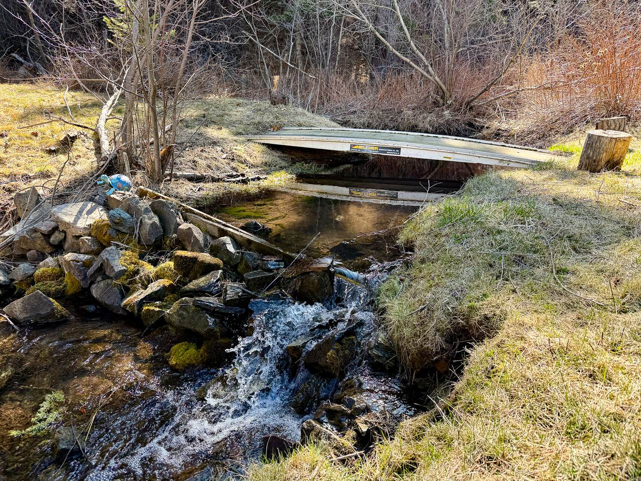 4220 Denton Gulch Road - Photo 1