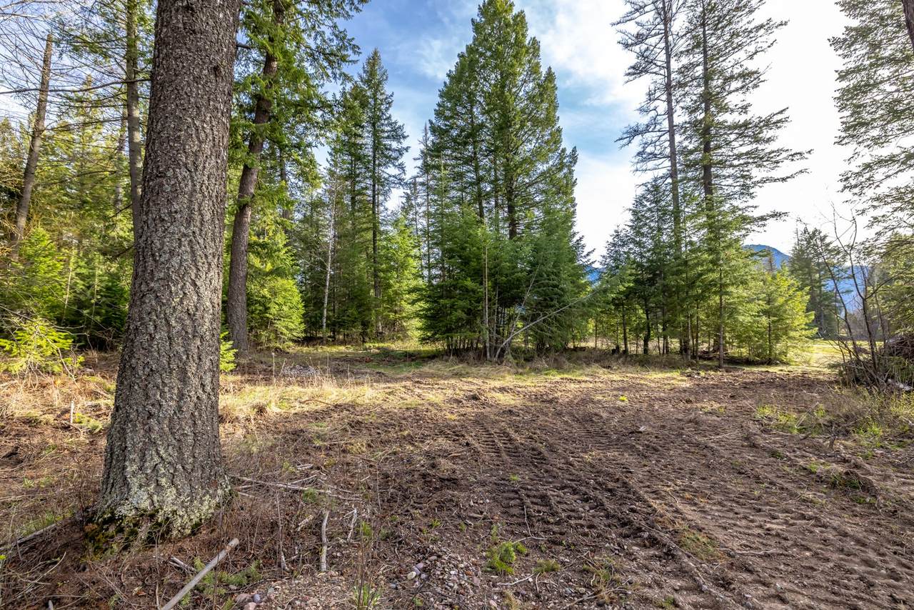 420 Old Hwy 2 - Photo 1