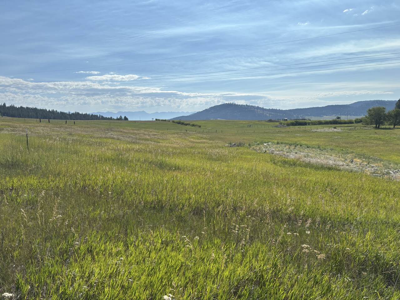 699 Morning View Drive - Photo 1