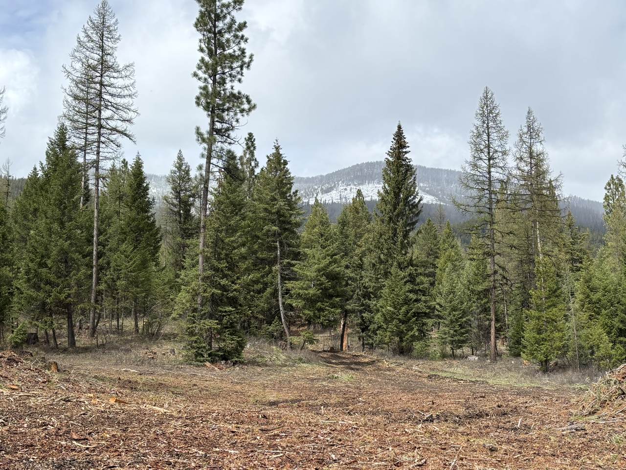 301 Haskill Ranch Road - Photo 1