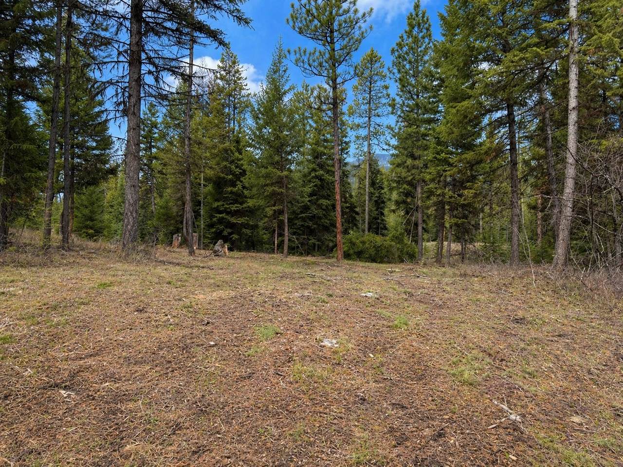 80 Blaney Lane - Photo 1