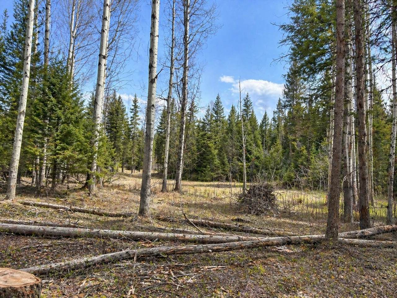 https://bt-photos.global.ssl.fastly.net/nmar/1280_boomver_1_30069599-2.jpg