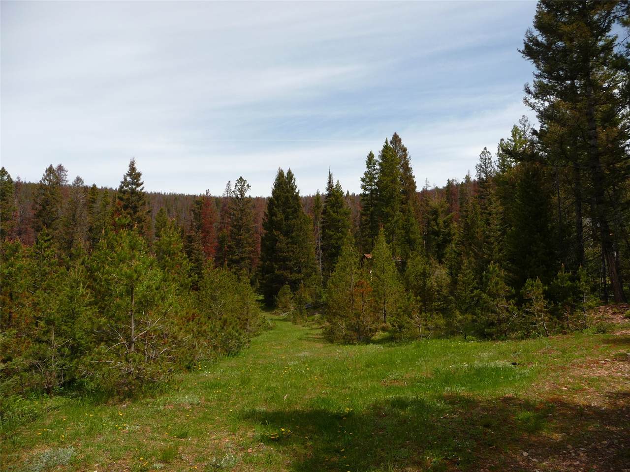263 Wild Hill Lane - Photo 1