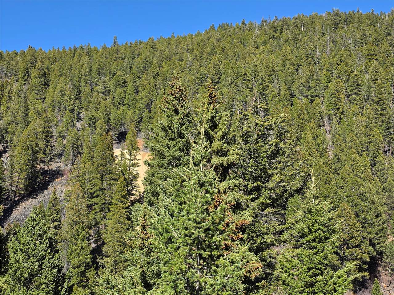 TBD Little Blackfoot Little Blackfoot River Road - Photo 1