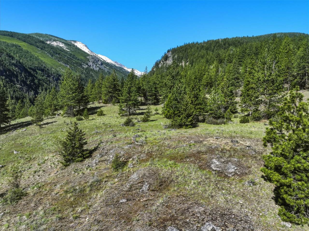 Tract 29A Castle View Drive - Photo 1