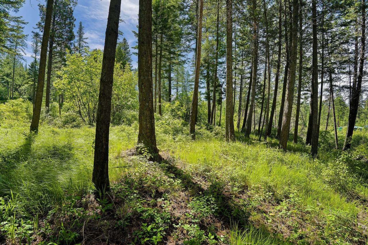 https://bt-photos.global.ssl.fastly.net/nmar/1280_boomver_1_30069965-2.jpg