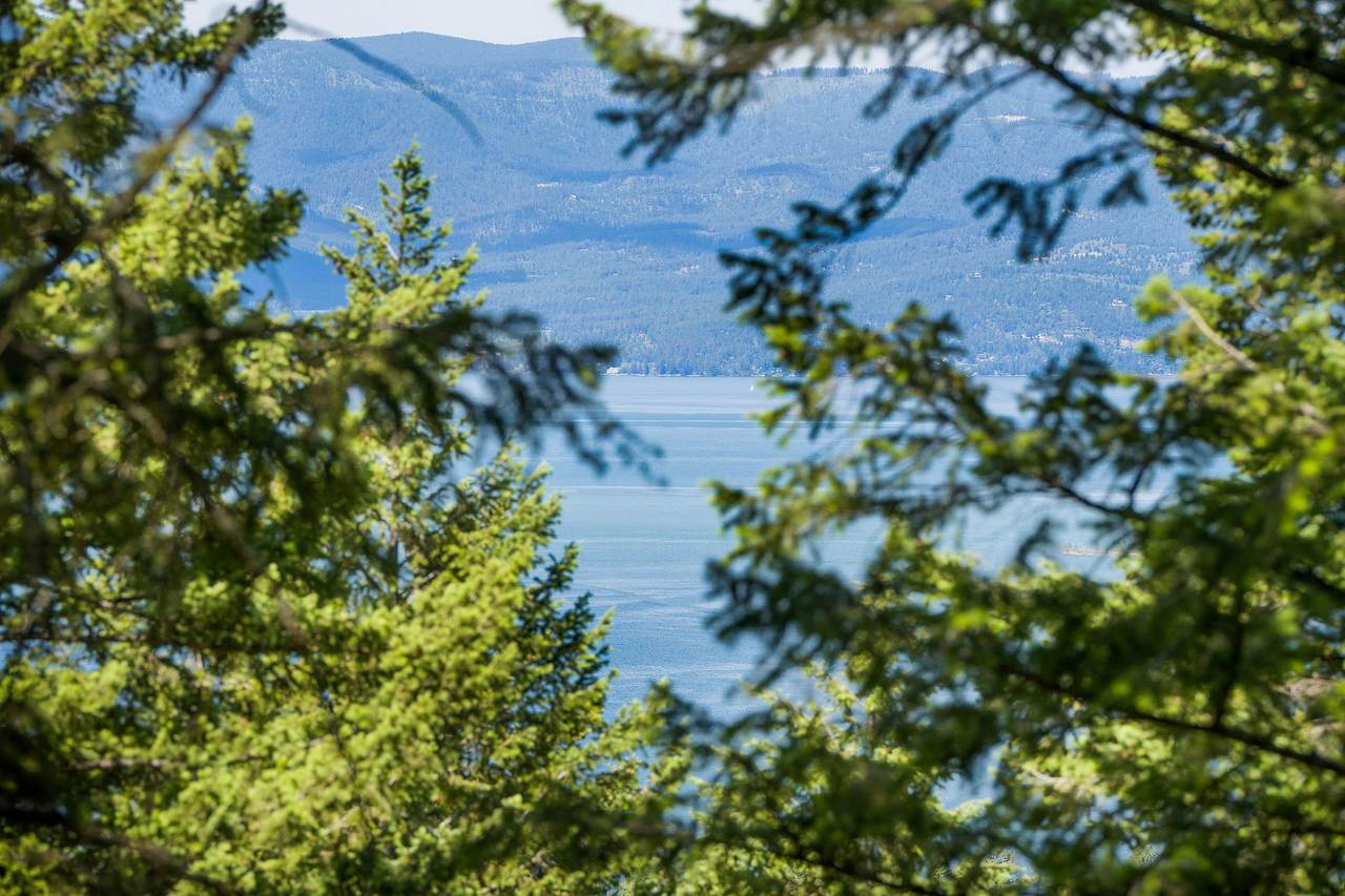 345 Chief Cliff Trail - Photo 1