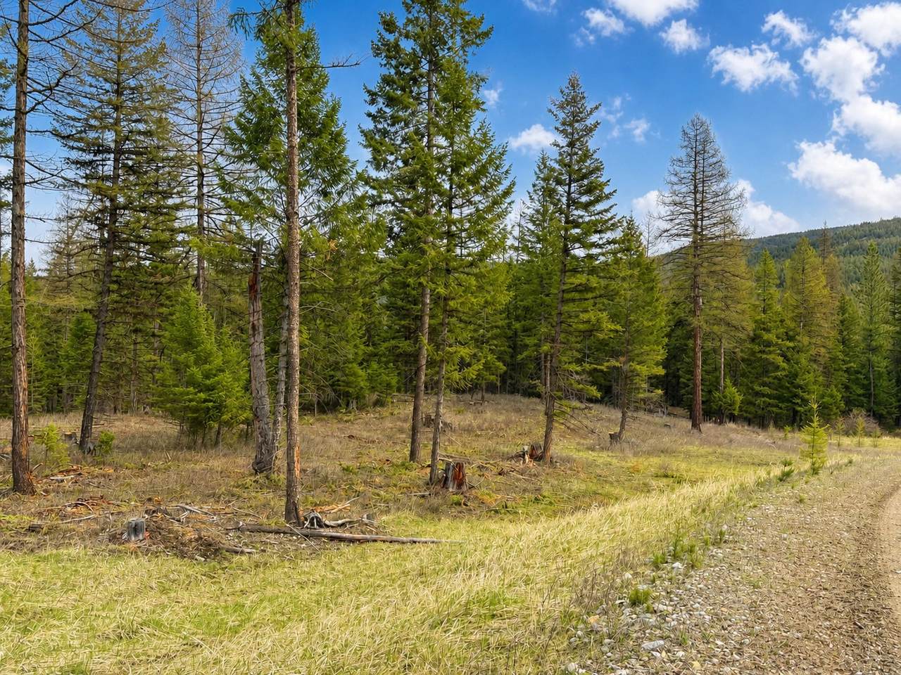 https://bt-photos.global.ssl.fastly.net/nmar/1280_boomver_1_30069991-2.jpg