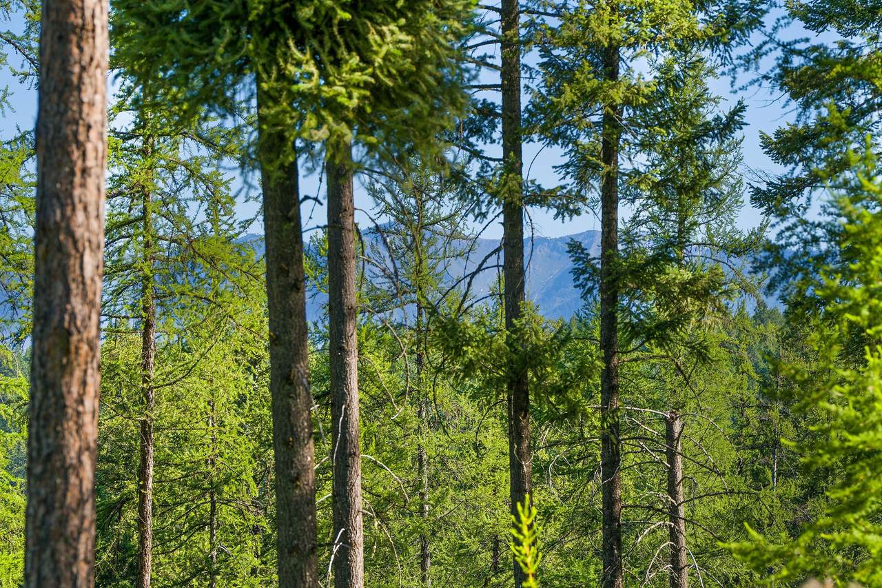 https://bt-photos.global.ssl.fastly.net/nmar/1280_boomver_1_30070234-2.jpg