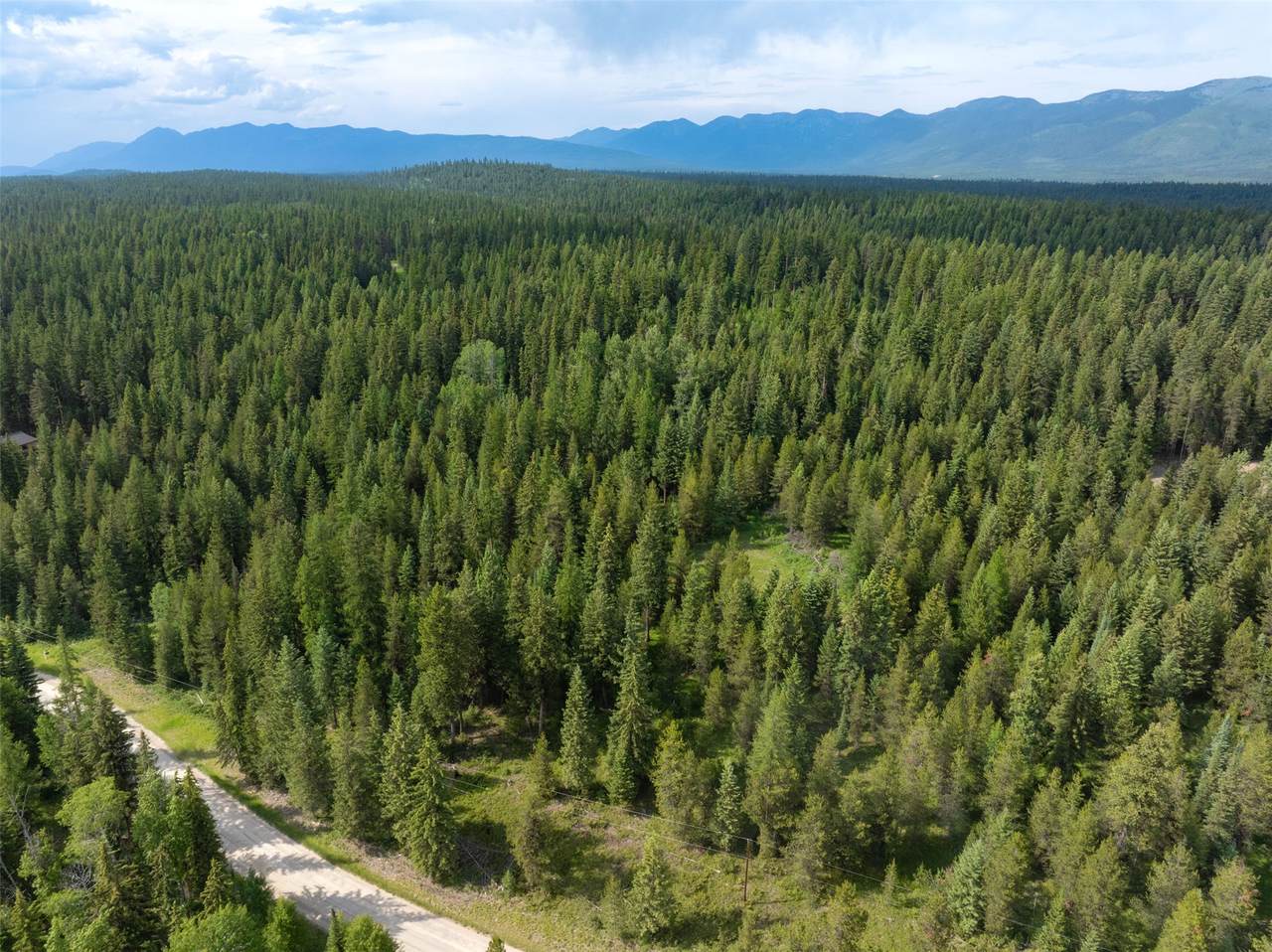 NHN Lupfer Road - Photo 1