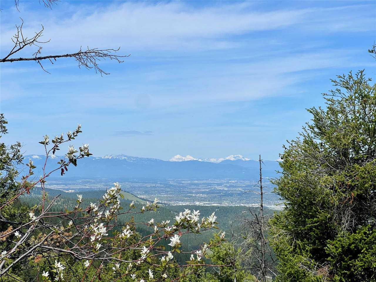 NHN Patrick Creek Road - Photo 1