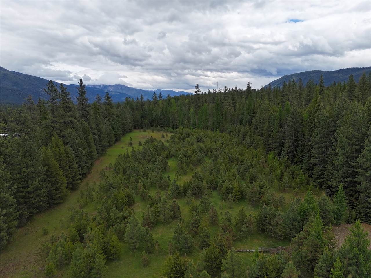 Nhn Old Cottonwood Lane - Photo 1