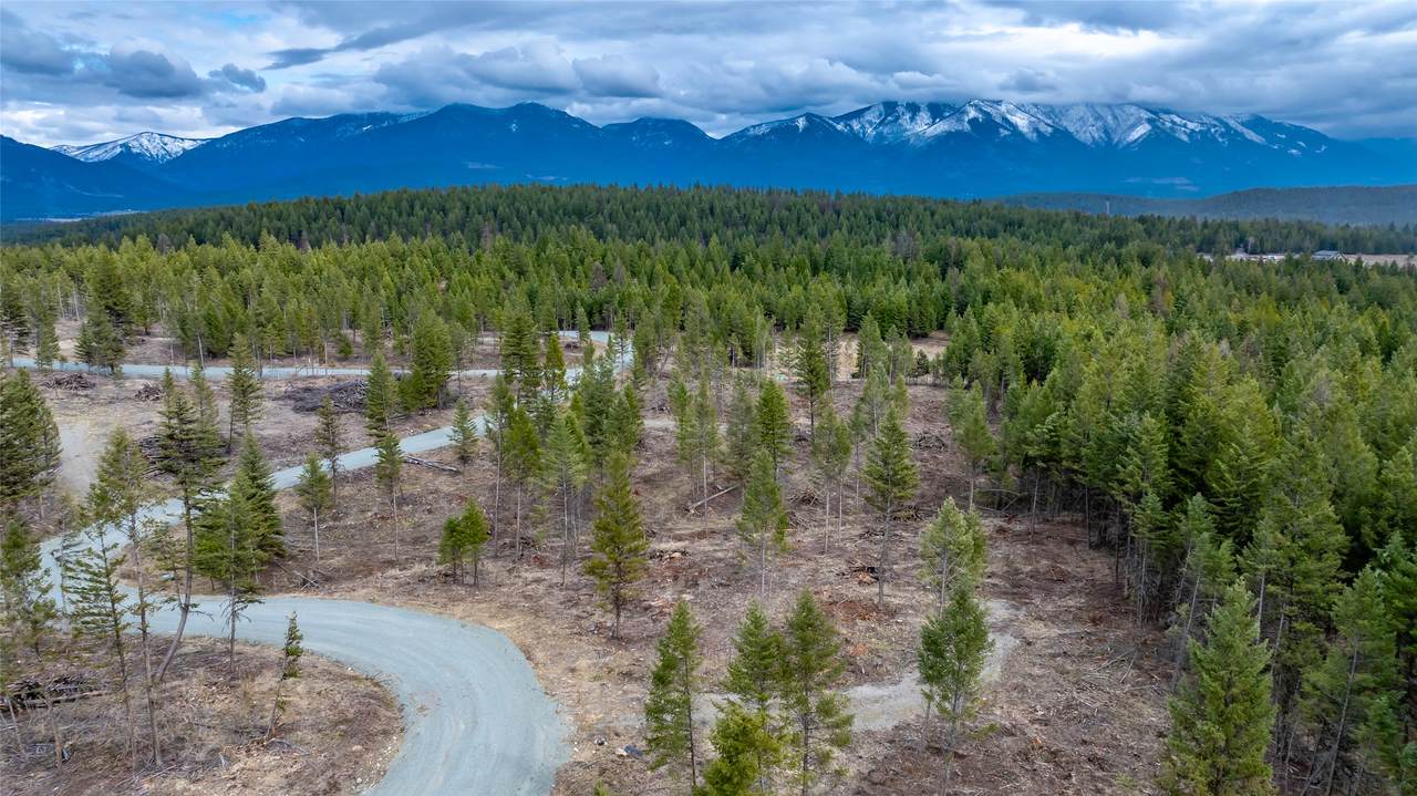 Nhn Lot #44 Osprey Loop - Photo 1